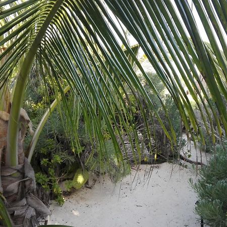 Eco Lodge Hotel Villa Tulum Pueblo Buitenkant foto