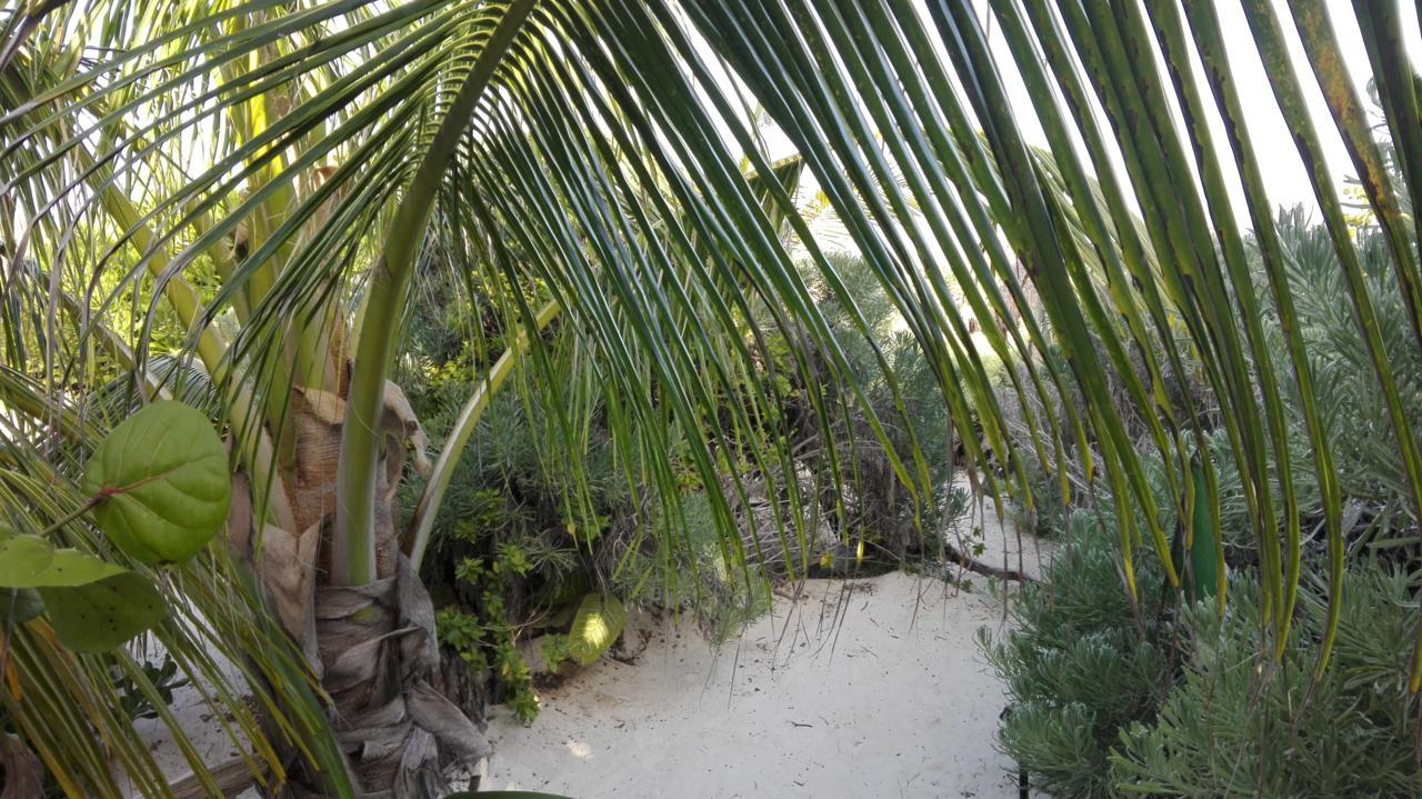 Eco Lodge Hotel Villa Tulum Pueblo Buitenkant foto